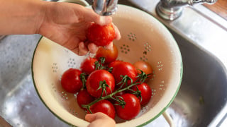 5 segredos simples para manter os tomates frescos como no dia da colheita
