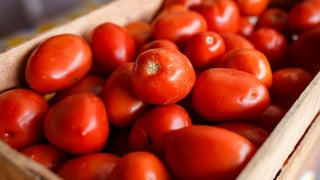Faz mal comer tomate mole? Veja como saber se o alimento está estragado e quando não precisa jogar fora