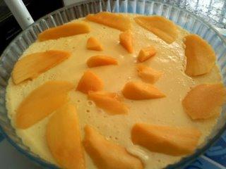 Mousse de manga