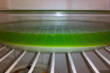 Gelatina com creme de limão - fácil e rápida