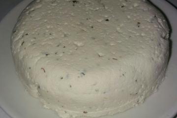 Queijo de kefir