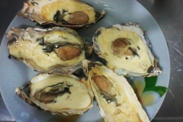 Ostra Cassinho
