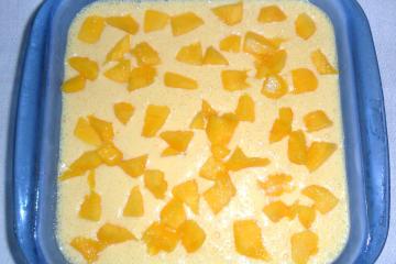 Mousse de manga