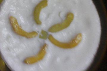 Creme Gelado (maçã ou pêssego)