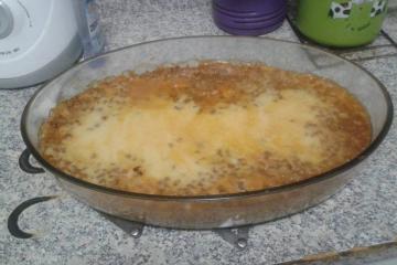 Torta de carne de soja