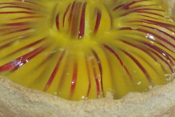 Torta de maçã delícia