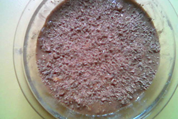 Chocolate de bolacha