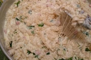 Macarrão ao molho branco com presunto e queijo