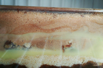 Pavê de chocolate sensacional