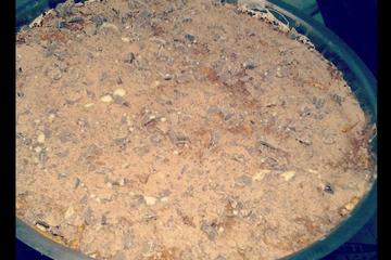 Torta de bolacha