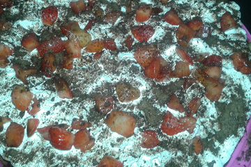 Bolo de chocolate com cobertura de morango do amor