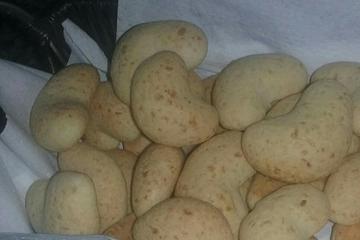 Chipa paraguaia