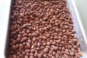 Amendoim praliné