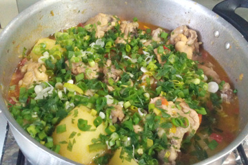 Coxinha da asa