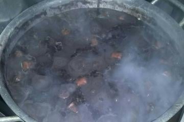 A feijoada
