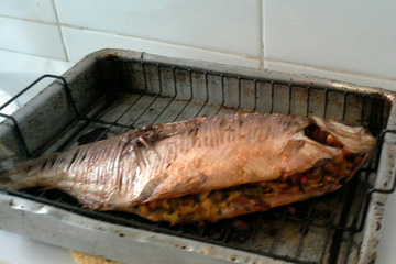 Matrinxã Recheada