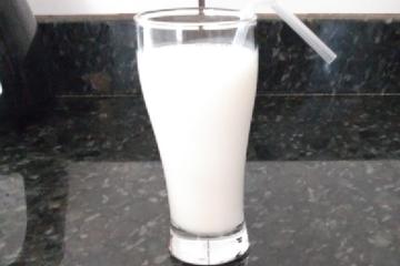 Leite de camelo (batida)
