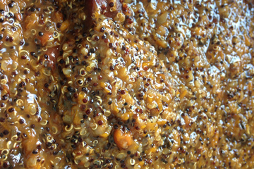 Quinoa ao molho funghi
