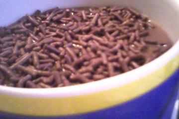 Falso mousse de chocolate