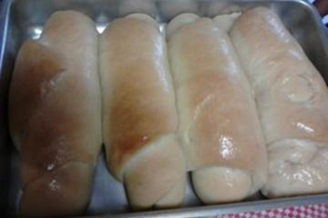 Fermento caseiro para pão