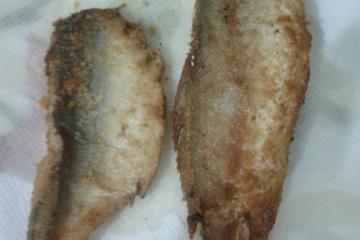 Peixe empanado assado