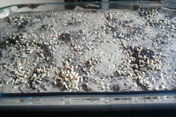 Meu pavê de chocolate