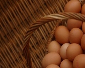 Omelete com aveia