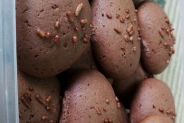 Biscoito de chocolate econômico