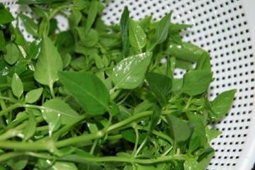 Massa ao pesto
