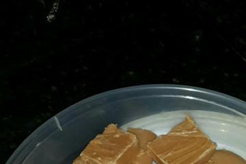 Doce de leite de cortar