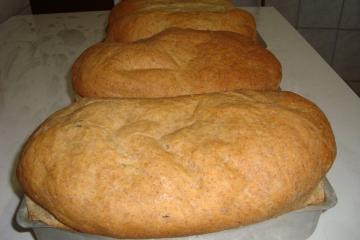 Pão de gérmen e farelo de trigo