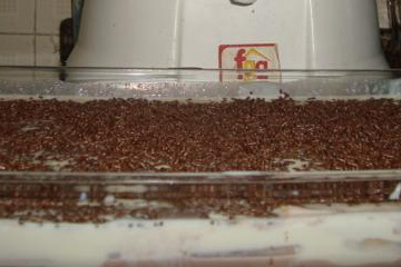 A melhor receita de pavê do Momô