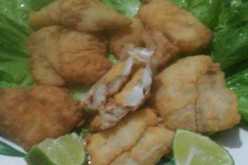 Filé de peixe empanado