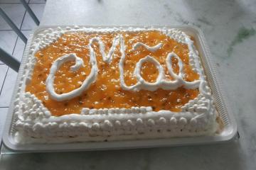 Bolo delicioso de mousse de maracujá