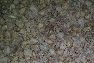 Amendoim Doce