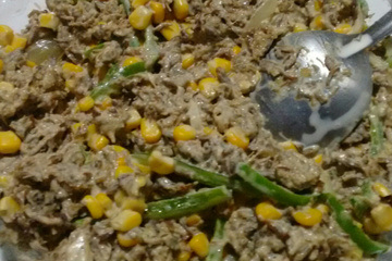Fricassê  de Carne de Sol