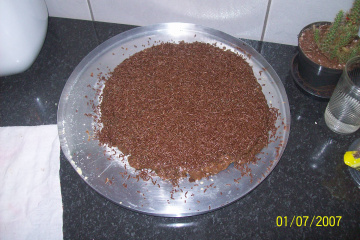 Torta de chocolate gelada