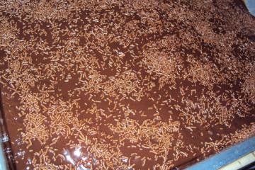 Bolo de chocolate molhado