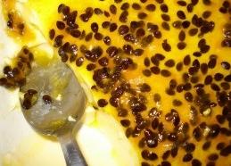 A mousse de maracujá