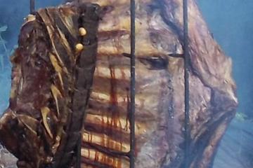 Costela fogo de chão