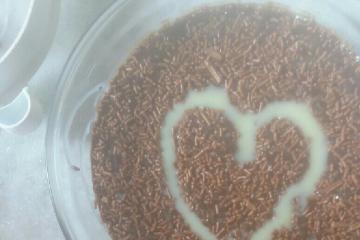 Mousse de chocolate