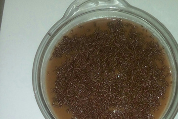 Brigadeiro caseiro