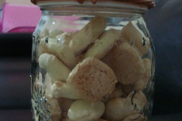 Sequilhos