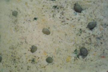 Omelete de frango ao forno