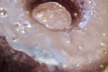 Bolo de cenoura