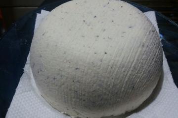 Queijo de kefir
