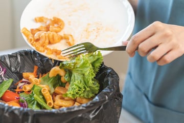 Nunca mais jogue comida fora: como guardar as sobras do Natal do jeito certo