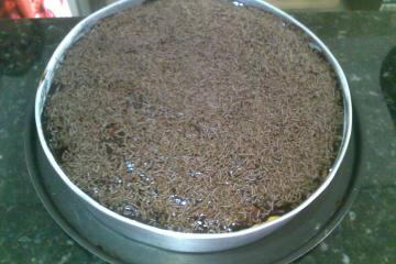 Bolo de cenoura sem ovos e com leite de soja