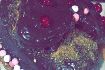 Bolo de Chocolate Rápido