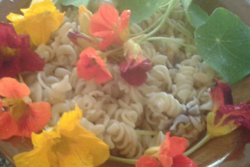 Macarrão com capuchinha
